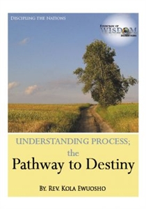 Picture of Understanding Process (the Pathway to Destiny) (CD)