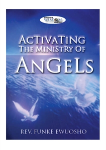 Picture of Activating the Minstry of Angels (CD)