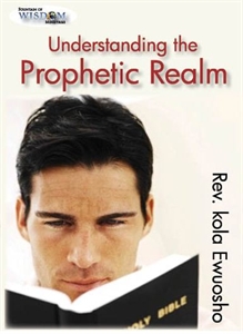 Picture of Understanding the prophetic Realm (CD)