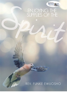 Picture of Enjoying the Supplies of the Spirit (CD Series)