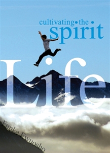 Picture of Cultivating the Spirit Life (CD Series)