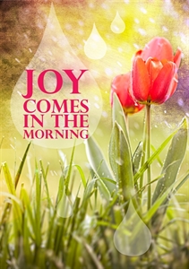 Picture of Joy Comes in the Morning (CD Pack)