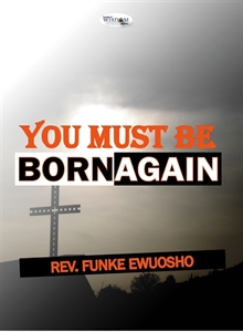 Picture of You Must be Born Again (CD Set)