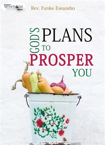 Picture of God's Plans to Prosper You (CD Set)