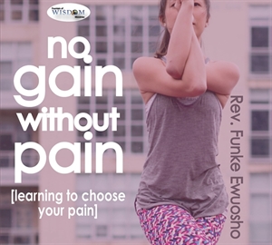 Picture of No Gain Without Pain (CD)