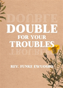 Picture of Double for your Troubles (CD)