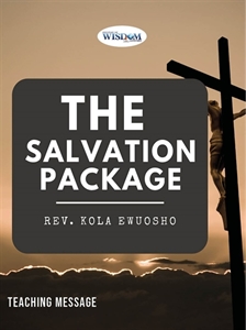 Picture of The Salvation Package (CD Set)